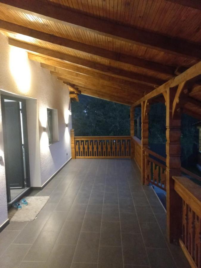 Casa Edy Villa Vişeu de Sus Dış mekan fotoğraf