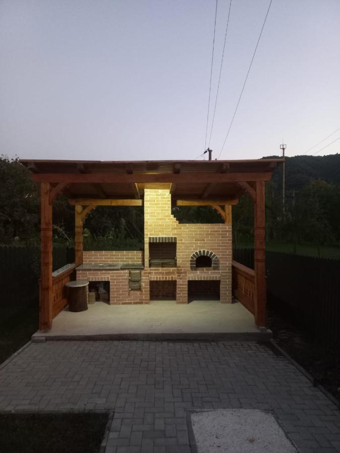 Casa Edy Villa Vişeu de Sus Dış mekan fotoğraf