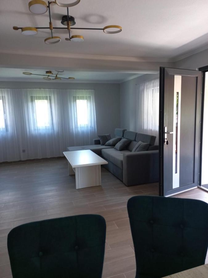 Casa Edy Villa Vişeu de Sus Dış mekan fotoğraf